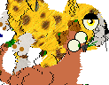 pic5.GIF (4659 bytes)